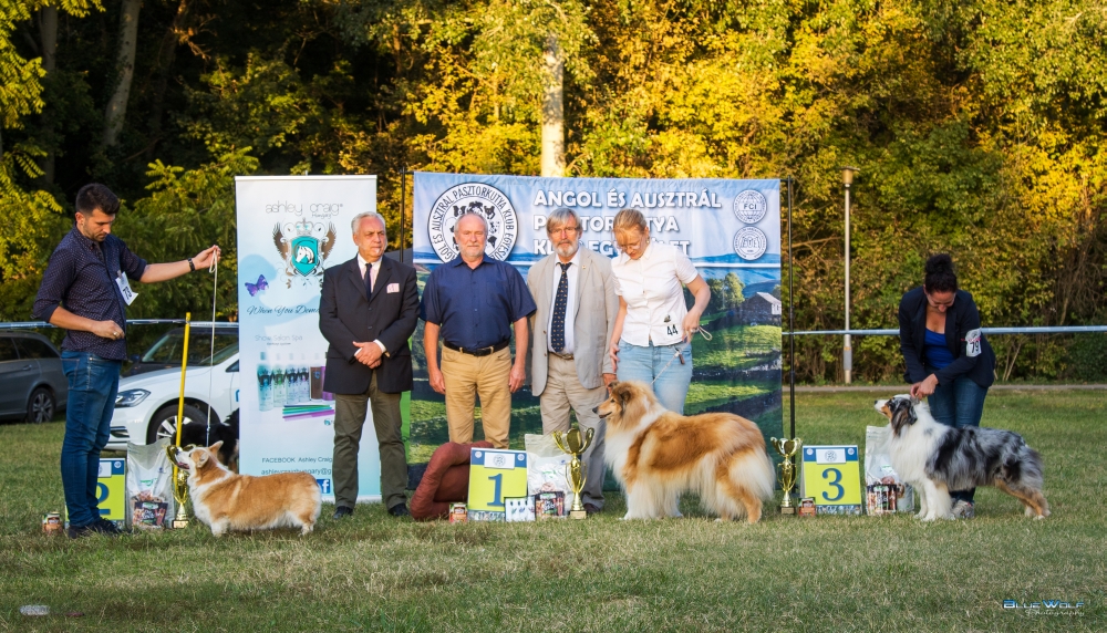 2019.09.15. – Gödöllő AAPKK Speciál CAC eredmények