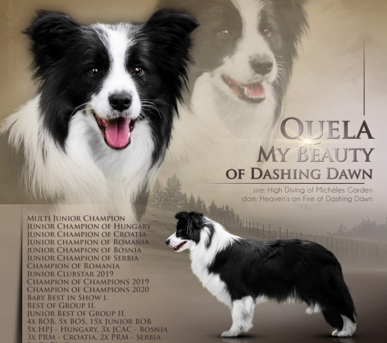 Quela My Beauty of Dashing Dawn