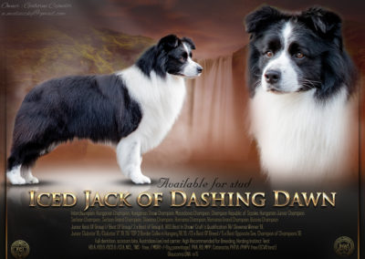 Iced Jack Of Dashing Dawn