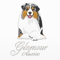 Glamour Aussies kennel