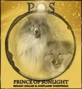 Prince Of Sunlight kennel