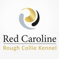 Red Caroline kennel