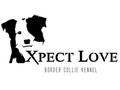 Xpect Love kennel