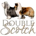 Double Scotch kennel