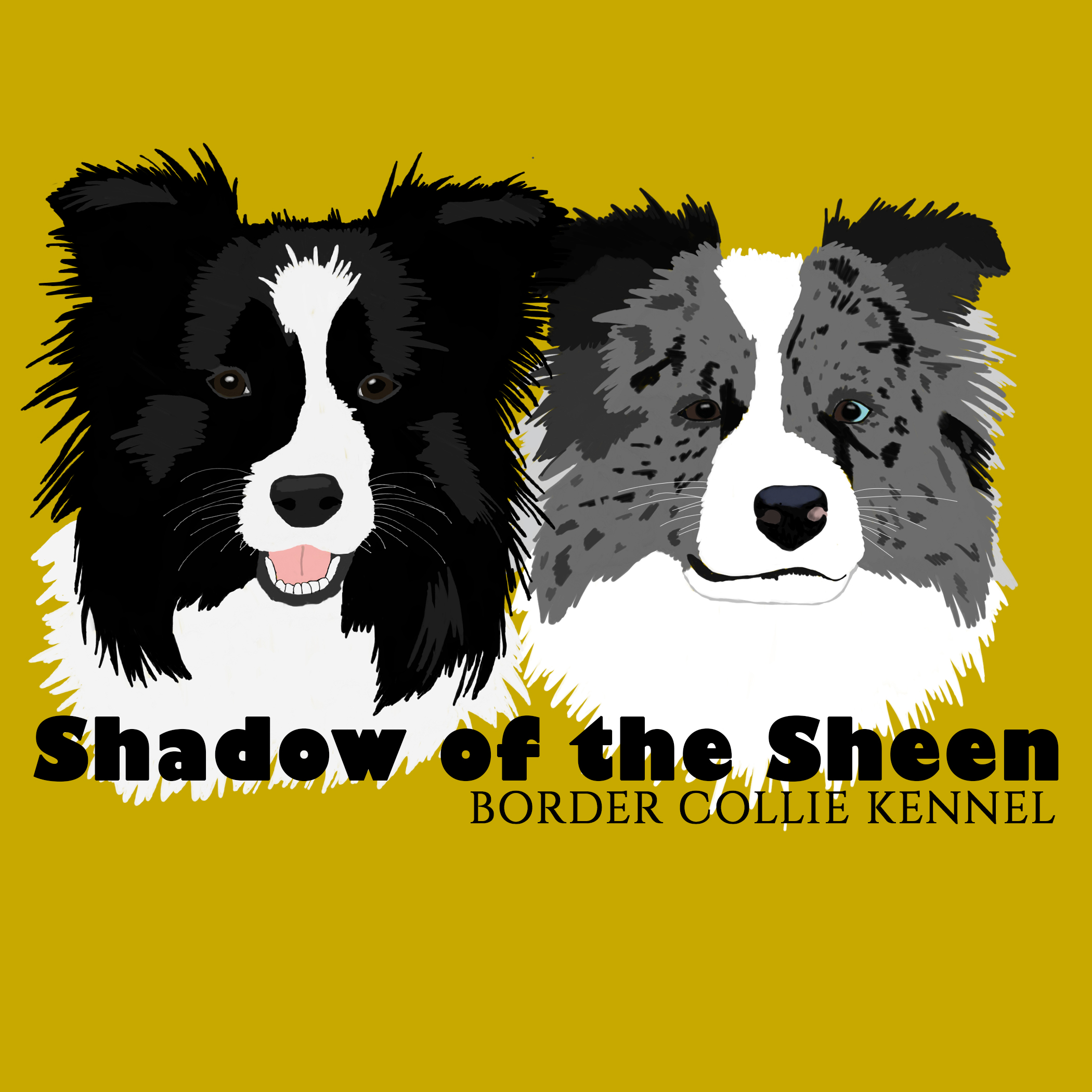 Shadow of the Sheen kennel