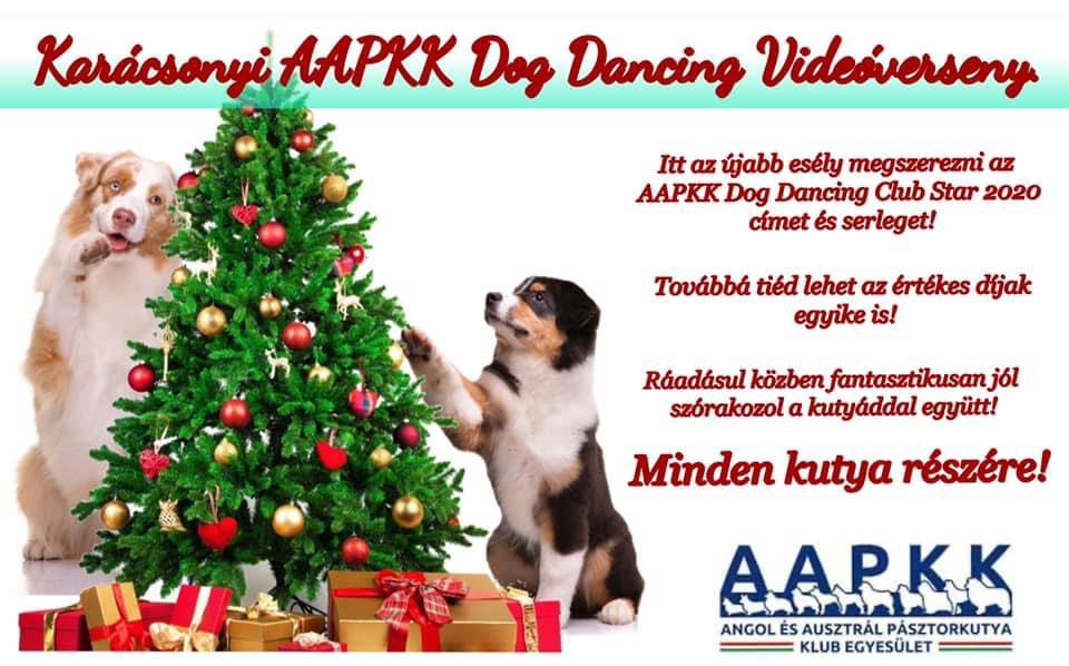Dog Dancing Karàcsonyi Videóverseny eredmények