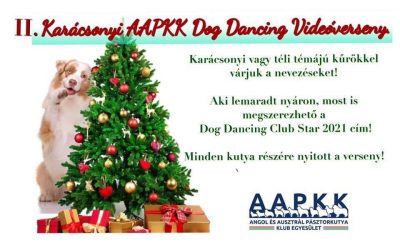 Dog Dancing Karàcsonyi Videóverseny eredmények