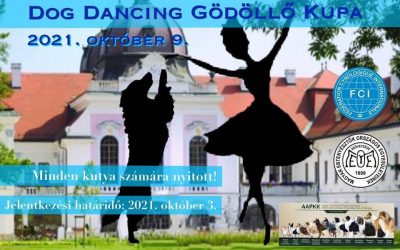 Gödöllő Dog Dancing Kupa eredménytáblázat – 2021.10.09.