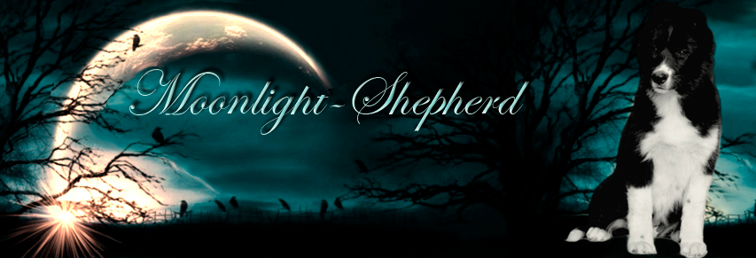 Moonlight-Shepherd kennel