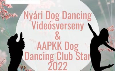 Nyári Dog Dancing Videóverseny eredmények