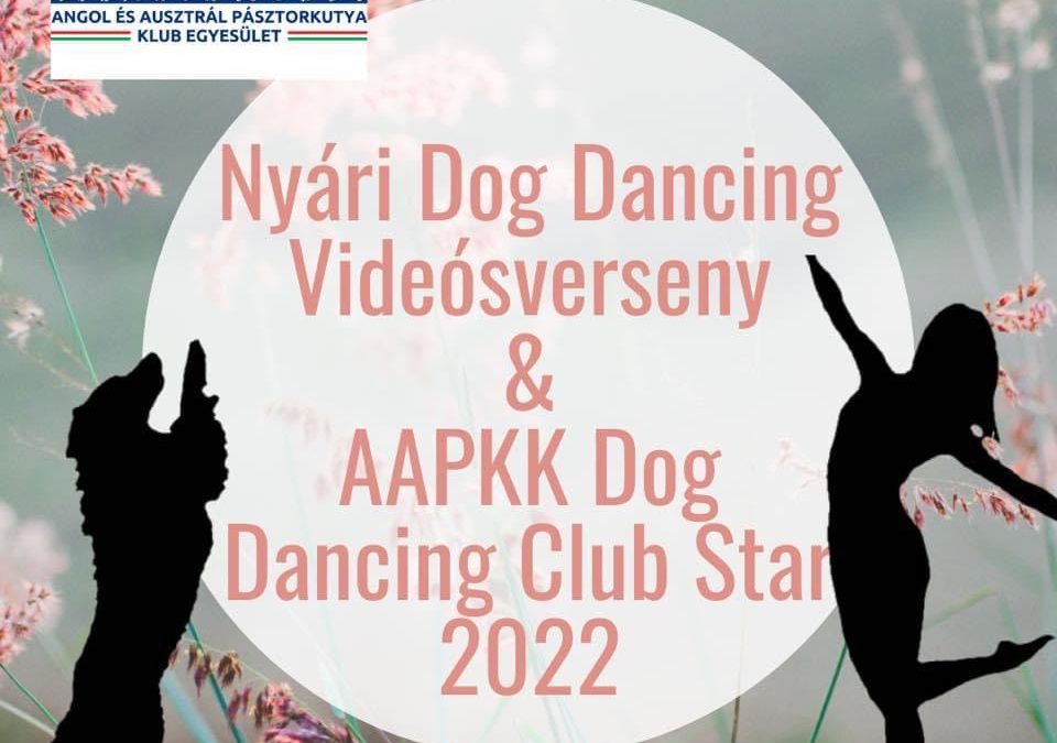 Nyári Dog Dancing Videóverseny eredmények