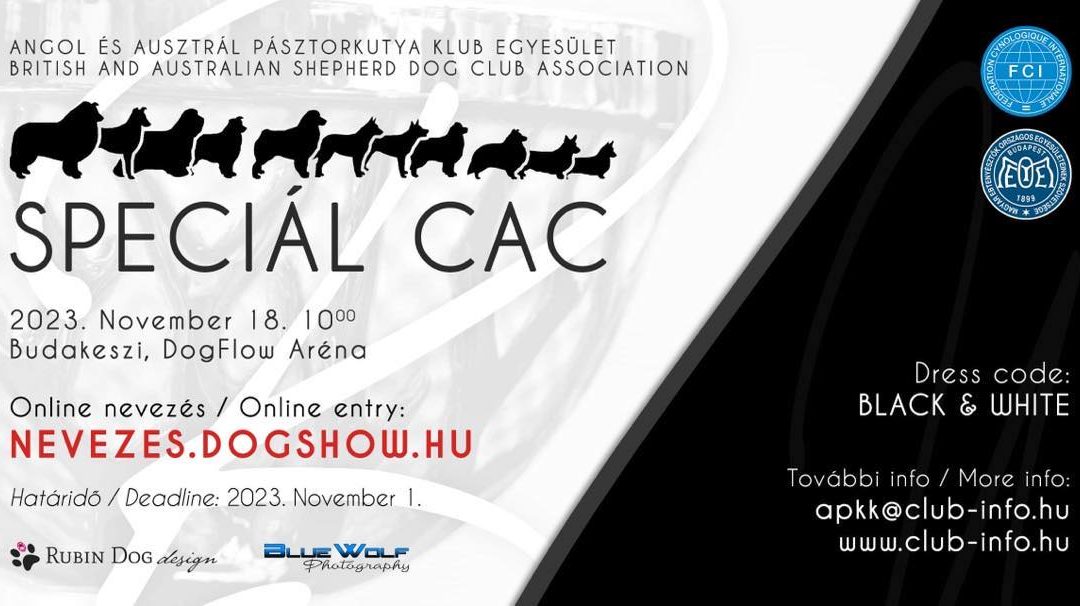 Special CAC – 2023. 11. 18.