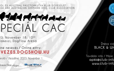 Special CAC – 2023. 11. 18.