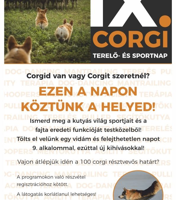 Corgi Terelőnap rendezvény