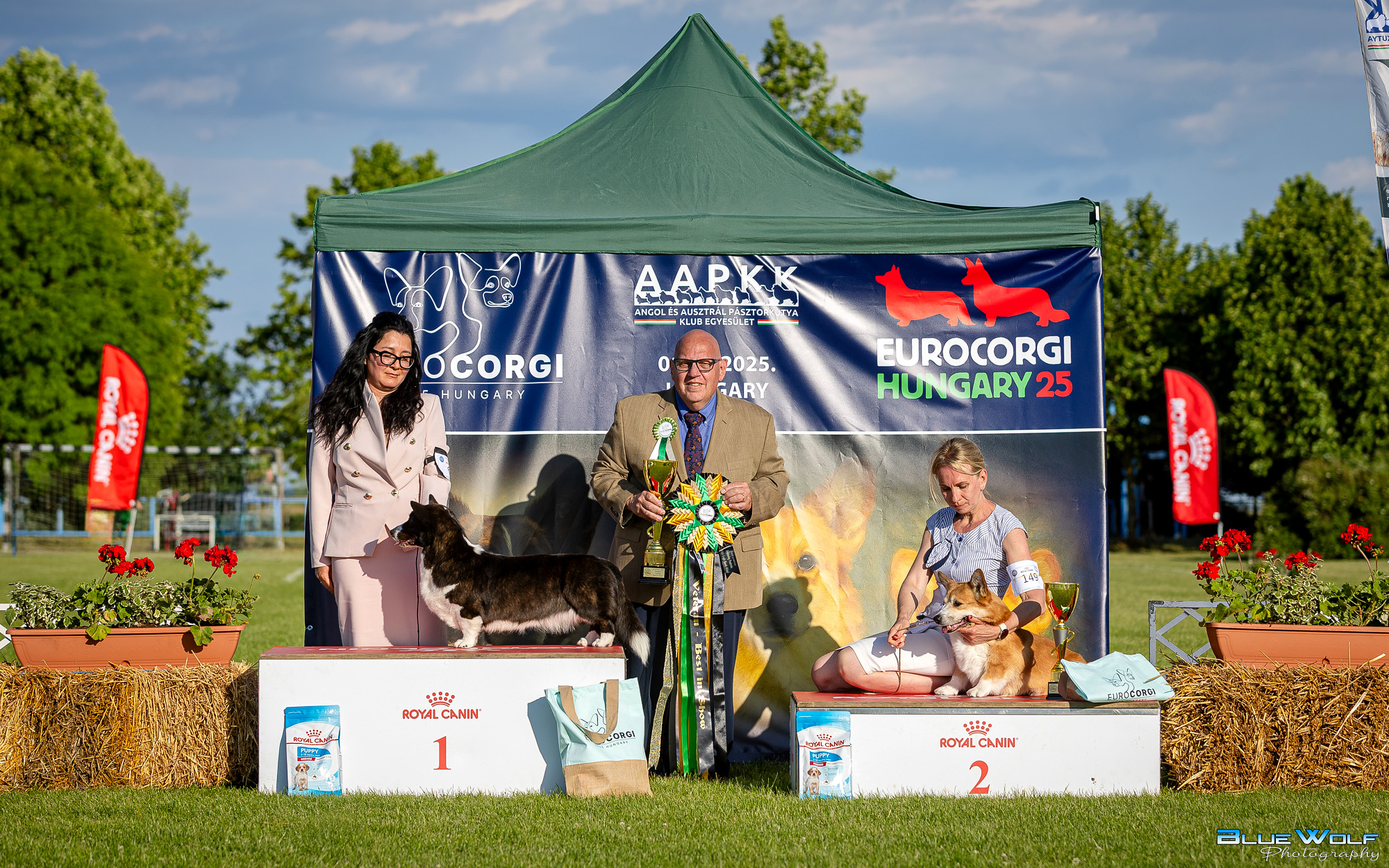 BWP_4624